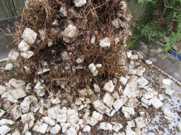 Polystyrene in pots