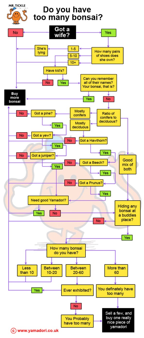 how many bonsai do you own copy