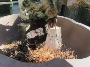 The Blocks wirted in