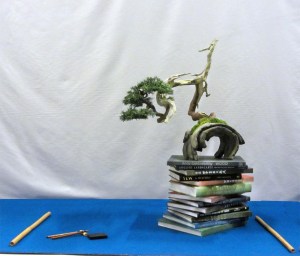 calligrapher at Noelanders