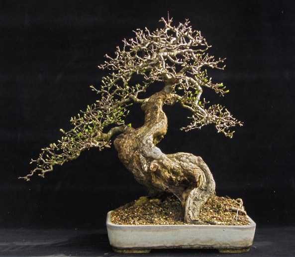 Fat Guy 30-03-13 blog