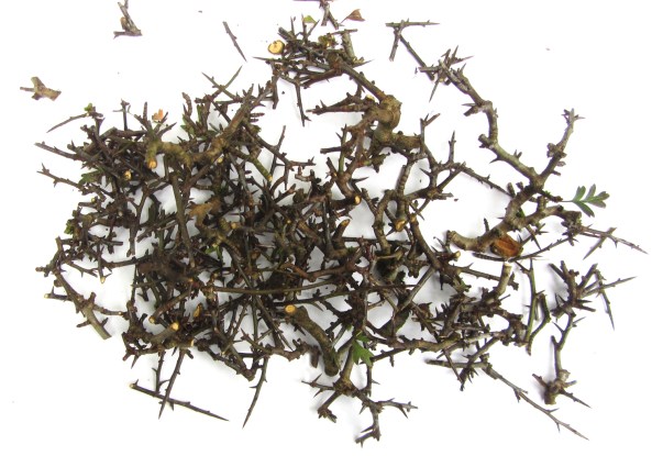 Hawthorn trimmings
