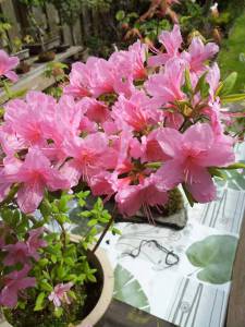 601765_632200523474394_1961711538_n