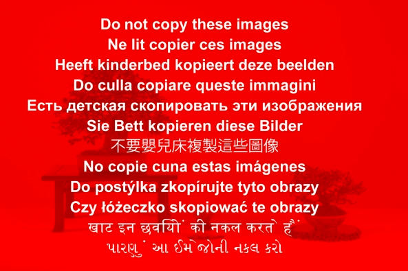 Do not copy