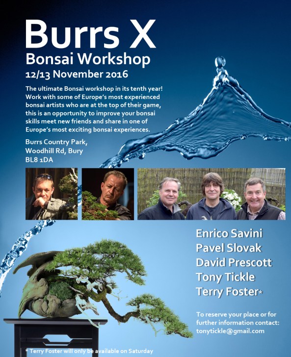 Burrs 2016 poster