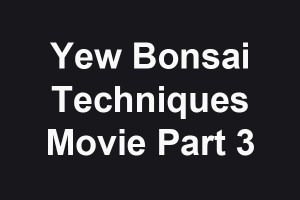 Yew technique Part 3