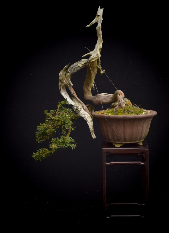 calligrapher new 04-17